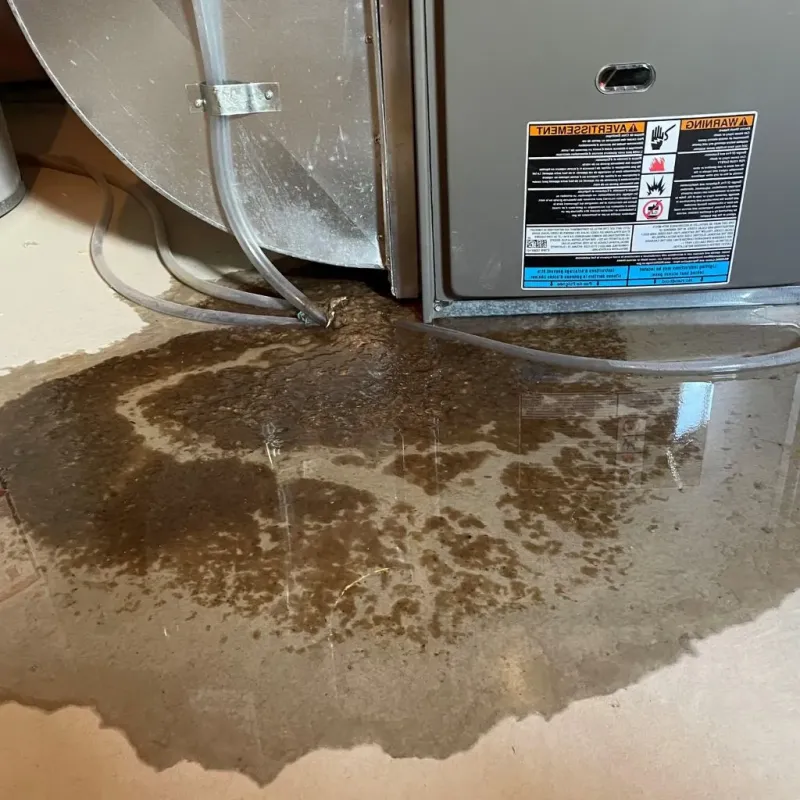 Pipe Burst and Leak Restoration in Bayshore Gardens, FL